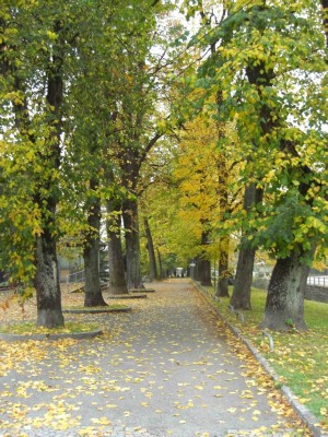 Blick in die benachbarte herbstliche Schilleralle