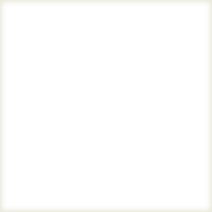 Die Graphikerin Elisabeth Heidinger beim Sortieren: Es gab ja humoristische Fliesen, historische, literarische und Fliesen mit Werbung aus der guten alten Zeit
